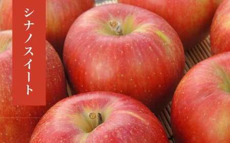 長野県産 季節の旬のりんご 約3kg 6～12玉［小布施屋］ りんご 林檎 リンゴ_ 果物 フルーツ 令和7年産 【2025年10月～2026年2月発送】