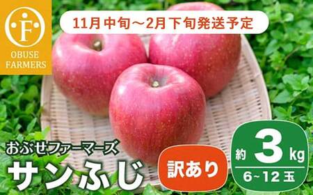【訳あり】 サンふじ 約3kg 6～12玉［おぶせファーマーズ］ 不揃い 規格外 家庭用 りんご 林檎 リンゴ 果物 フルーツ ふじ 長野 信州 数量限定  【2025年11月中旬～2026年2月下旬発送】
