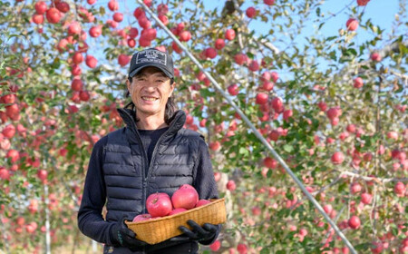 【訳あり】 サンふじ 約3kg 6～12玉［おぶせファーマーズ］ 不揃い 規格外 家庭用 りんご 林檎 リンゴ 果物 フルーツ ふじ 長野 信州 数量限定  【2025年11月中旬～2026年2月下旬発送】