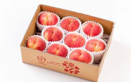 川中島白桃 約3kg 7～12玉 ［おぶせファーマーズ］桃 もも モモ フルーツ 果物 クール便 冷蔵便 長野県産 信州産 期間限定 数量限定 先行予約 2026 令和8年産【2026年8月中旬～下旬発送】