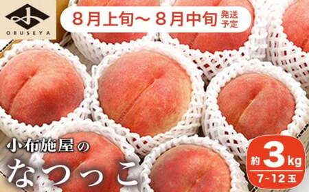 なつっこ (白桃） 約3kg 7～12玉 ［小布施屋］ 桃 白桃 もも モモ フルーツ 果物 令和8年産 【2026年8月上旬～中旬発送】