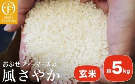 風さやか 玄米  約5kg ［ おぶせファーマーズ ］ お米 コメ おこめ ご飯 精米 長野県産 【2025年11月上旬～発送】