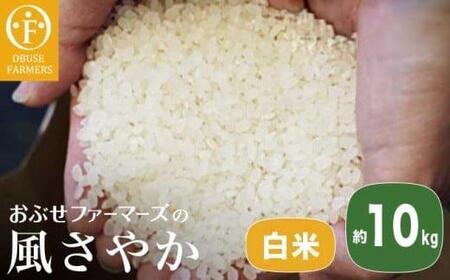 風さやか 白米  約10kg ［ おぶせファーマーズ ］ お米 コメ おこめ ご飯 精米 長野県産 【2025年11月上旬～発送】