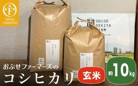 コシヒカリ 玄米  約10kg ［ おぶせファーマーズ ］ お米 コメ おこめ ご飯 精米 長野県産 【2025年11月上旬～発送】