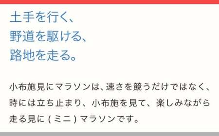 第23回 小布施見にマラソン 出走権 1名分 駐車券なし 2026 ［小布施見にマラソン実行委員会］ マラソン大会 ハーフマラソン 出走券 チケット スポーツ 仮装 コスチューム 参加券 大会 期間限定 送料無料 長野県 小布施町 ［O-5］