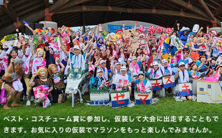 第23回 小布施見にマラソン 出走権 1名分 駐車券あり 2026 ［小布施見にマラソン実行委員会］ マラソン大会 ハーフマラソン 出走券 チケット スポーツ 仮装 コスチューム 参加券 大会 期間限定 送料無料 長野県 小布施町 ［O-4］