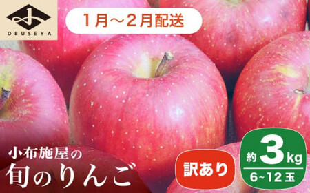 ［訳あり］ 旬のりんご 約3kg 6～12玉 ［小布施屋］ 傷 規格外 不揃い 訳アリ 家庭用 りんご 林檎 リンゴ 果物 フルーツ 長野県産 信州産 特産 産地直送 産直 数量限定 先行予約 令和7年度産 【2025年1月～2月配送】