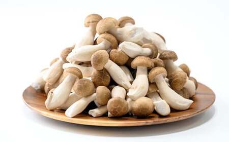  ぶなしめじ 300g × 4袋 ［おぶせファーマーズ］ きのこ キノコ 野菜 鍋 炒め物 長野 信州