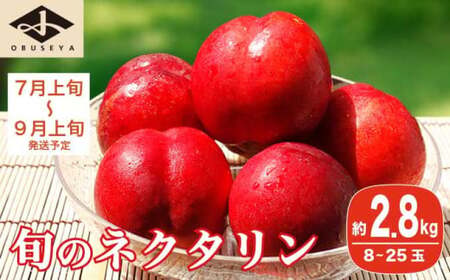 旬のネクタリン 約2.8kg 8～25玉 ［小布施屋］ 果物 フルーツ 桃 もも 長野県産 小布施 冷蔵便 クール便 産地直送 数量限定 送料無料 令和8年産 【2026年7月上旬～9月上旬発送】