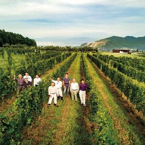 信州たかやまワイナリーのなっちょ白ワイン・ロゼワイン2本セット【配送不可地域：離島】【1402298】