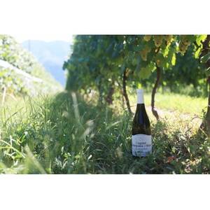 高山村シャルドネ　2022【配送不可地域：離島】【1677696】