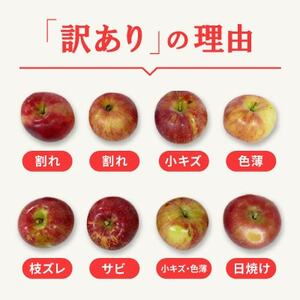 【2026年先行受付】日本で最も美しい村ー信州高山村ー　旬のりんご約5kg入り【訳あり品】【1696077】