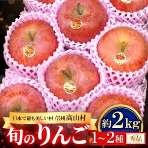 【2026年先行受付】日本で最も美しい村ー信州高山村ー　旬のりんご【秀品】サンふじ・名月・他【1696201】