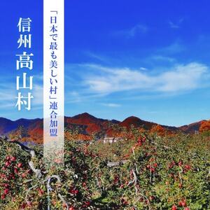 【2026年先行受付】日本で最も美しい村ー信州高山村ー　旬のりんご【秀品】サンふじ・名月・他【1696201】