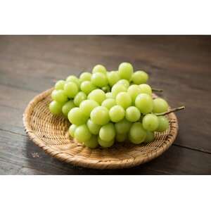 信州の高原育ちシャインマスカット 大きい600g×2房入り1.2kg【配送不可地域：離島】【1341284】