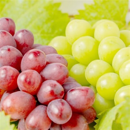 【2026年発送】シャインマスカット・クイーンルージュ(R)セット 4～5房(約2kg)【配送不可地域：離島・北海道・沖縄県】【1636250】