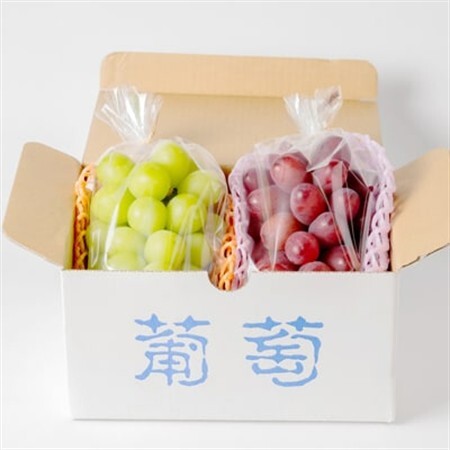 【2026年発送】シャインマスカット・クイーンルージュ(R)セット 4～5房(約2kg)【配送不可地域：離島・北海道・沖縄県】【1636250】