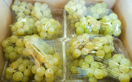 【2026年9月～発送】種ありナイアガラ 約2kg 安心安全 こだわりの栽培方法 除草剤不使用 栽培期間中 ネオニコチノイド系農薬不使用 化学合成肥料不使用 