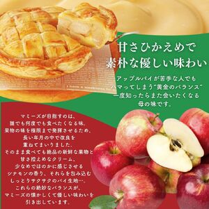 アップルパイ大ホール（20cm）山ノ内町 スイーツ お取り寄せ