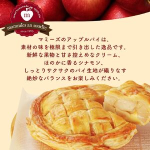 アップルパイ大ホール（20cm）山ノ内町 スイーツ お取り寄せ