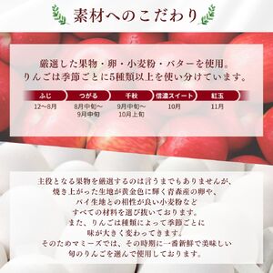 アップルパイ大ホール（20cm）山ノ内町 スイーツ お取り寄せ