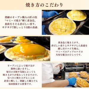 アップルパイ大ホール（20cm）山ノ内町 スイーツ お取り寄せ