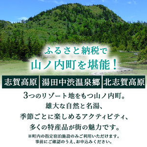 山ノ内町内宿泊補助券（3枚）1年間有効 15,000円分 旅行 宿泊券 ホテル 旅館 チケット 宿泊 補助券 志賀高原 湯田中渋温泉郷 北志賀高原 地獄谷野猿公苑  温泉 ギフト 自然 観光 長野県 信州 冬 スキー
