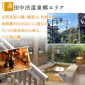 山ノ内町内宿泊補助券（3枚）1年間有効 15,000円分 旅行 宿泊券 ホテル 旅館 チケット 宿泊 補助券 志賀高原 湯田中渋温泉郷 北志賀高原 地獄谷野猿公苑  温泉 ギフト 自然 観光 長野県 信州 冬 スキー