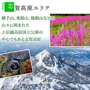 山ノ内町内宿泊補助券（12枚）1年間有効 60,000円分 旅行 宿泊券 ホテル 旅館 チケット 宿泊 補助券 志賀高原 湯田中渋温泉郷 北志賀高原 地獄谷野猿公苑  温泉 ギフト 自然 観光 長野県 信州 冬 スキー