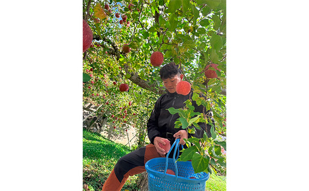 【2026年発送】贈りたい味、笑顔届ける　 山ノ内育ちのりんご　サンふじ　贈答用　特秀10kg りんご 果物