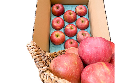 【2026年12月発送】今日を癒すひと玉 私のサンふじ　サンふじ　家庭用　5kg りんご 果物