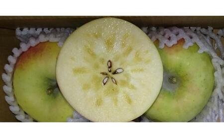 【2026年11月発送】ぐんま名月 訳あり家庭用 約5kg 12～23玉 りんご 果物 訳あり 信州 長野