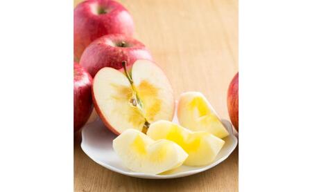 【2026年12月発送】サンふじ 秀品 約3kg 7～11玉 りんご ふじ 果物 信州 長野