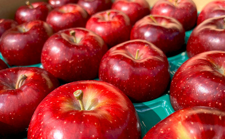 【2026年9月~発送】贈答用 葉とらず秋映 約3kg リンゴ りんご フルーツ 果物 お取り寄せ 長野県 山ノ内町