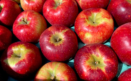 【2026年9月～発送】訳あり 秋映 約3kg リンゴ りんご フルーツ 果物 お取り寄せ 長野県 山ノ内町