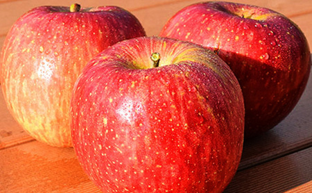 ふじ約3kg 7~9玉 りんご 長野県産