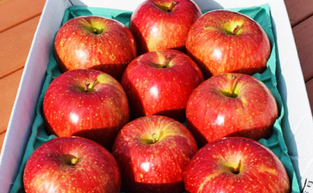 ふじ約5kg 13~18玉 りんご 長野県産