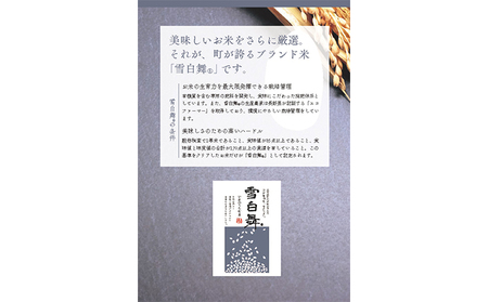 志賀高原の麓で育った 山ノ内町産コシヒカリ『雪白舞』2kg 米 お米 コシヒカリ こしひかり 2kg 2キロ 白米 精米 希少 ブランド米 産地直送 長野 長野県 山ノ内 長野県山ノ内町