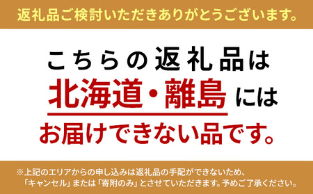 長野県産米粉と豆乳のレアチーズケーキ お菓子 スイーツ 洋菓子 おやつ 食後 デザート ホールケーキ あっさり ほどよい酸味 ヘルシー ヘルシースイーツ 