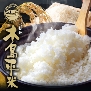 木島平村産 にじのきらめき 約10kg