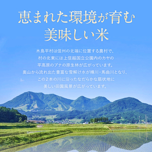 木島平村産 にじのきらめき 約10kg