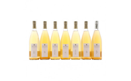 自家製100%ジュース 2本セット | L-1