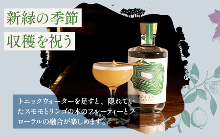 オリジナルジン IWAI GIN 200ml | Gn2-3 お酒 アルコール 国産 蒸留酒 ジントニック 10000円 1万円以下