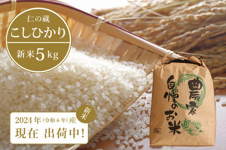 【現在出荷中！】令和6年産の新米 予約受付中！ 仁の蔵の「信濃町産 こしひかり５kg」  【長野県信濃町ふるさと納税】