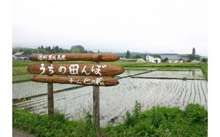 2025年収穫分、予約開始!「信濃町産 あきたこまち 5kg」令和7年産 仁の蔵の新米をお届け【長野県信濃町ふるさと納税】