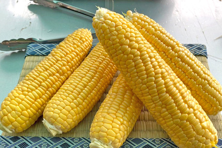 【2026年夏の予約受付開始！】信濃町名産とうもろこし『TAKA農園の恵味（めぐみ）ゴールド』2Lサイズ（1本450ｇ相当）×20本セット、約9kg／スイートコーンの人気品種、現在出荷中！ 2026年7月下旬から8月下旬まで随時出荷予定【長野県信濃町ふるさと納税】