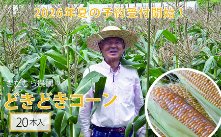 【2026年夏の予約受付開始！】きたむら農園『どきどきコーン』×20本セット（約8～8.5kg相当）信濃町名産とうもろこし／スイートコーンの新定番品種　令和8年7月下旬出荷開始予定！【長野県信濃町ふるさと納税】