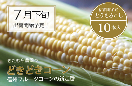 【7月下旬出荷開始予定】きたむら農園『どきどきコーン』×10本セット（約4～4.2kg相当）信濃町名産とうもろこし／スイートコーンの定番品種、予約受付中！　2024年8月下旬まで随時出荷【長野県信濃町ふるさと納税】