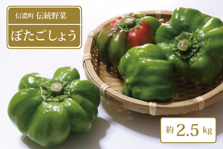 【夏季限定】信濃町名産、信州の伝統野菜「ぼたごしょう 2.5kg」☆8月下旬～10月上旬出荷予定【長野県信濃町ふるさと納税】