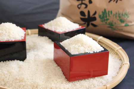 2025年収穫分、予約開始！ 仁の蔵の「信濃町産 こしひかり10kg」令和7年産 名水弘法清水が湧き出る黒姫山麓で育った自慢のお米 【長野県信濃町ふるさと納税】